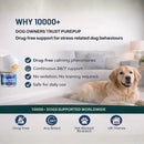 Dog Calming Formula for  Indoor Peeing