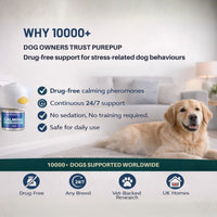 Dog Calming Formula for  Indoor Peeing