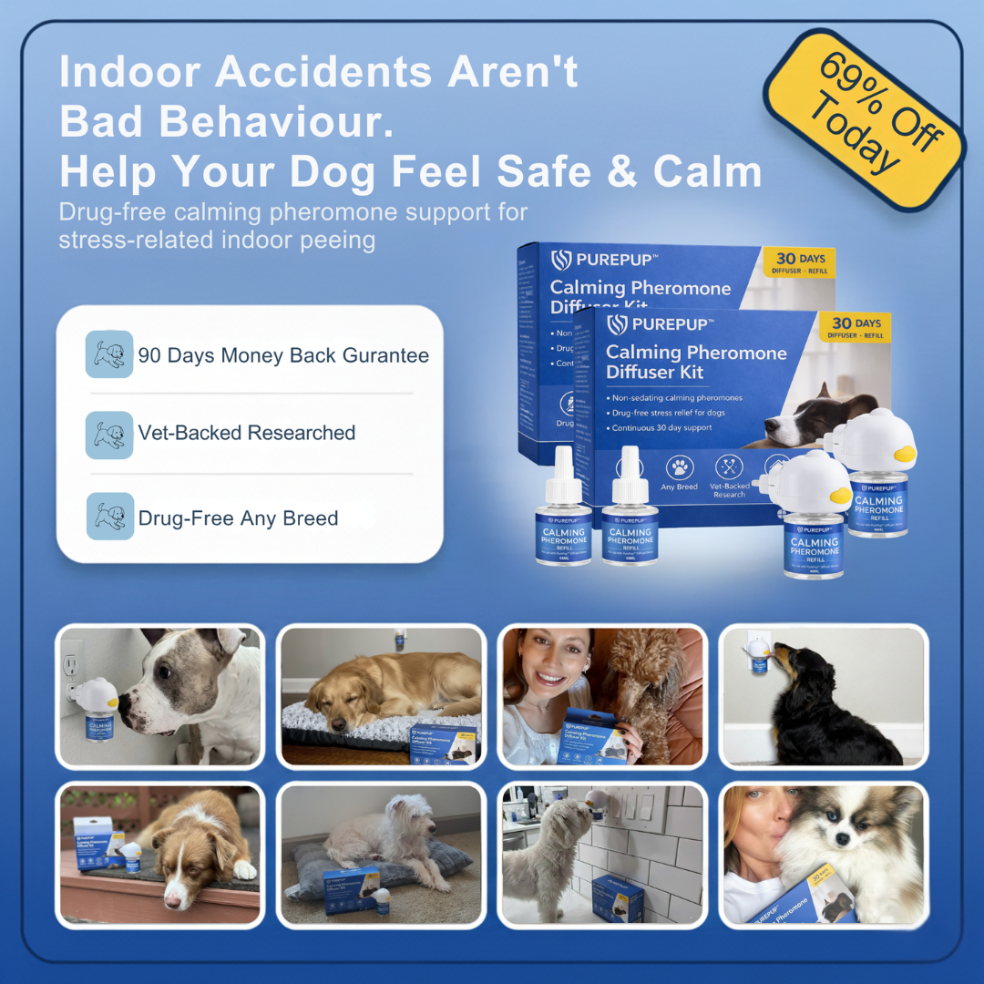 Dog Calming Formula for  Indoor Peeing