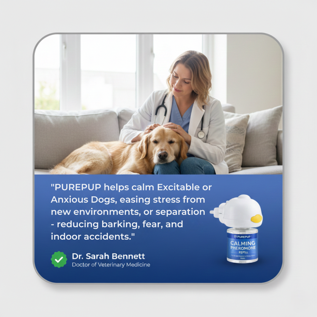 Dog Calming Formula for  Indoor Peeing