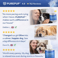 Dog Calming Formula for  Indoor Peeing